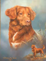 Safran